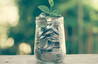 InvestWise Financial Planning