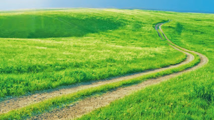 MISSO Wealth Management