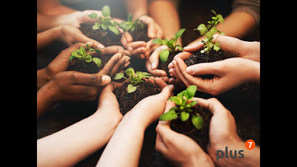 Plus 7 Financial Management