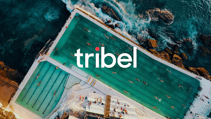 Tribel – Financial Advisors Adelaide