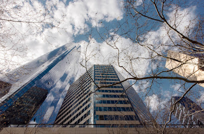 Verdure Financial Planning Solutions