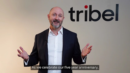 Tribel – Financial Advisors & Accountants Sydney